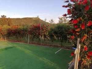 Villa con piscina "Su Conte" img29