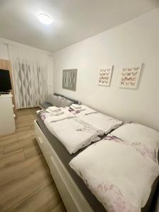 Nikola apartmani 