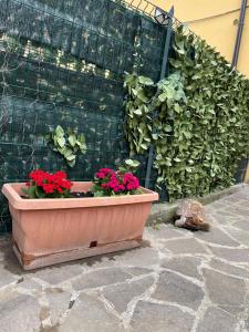 Appiolatino - Il Fenicottero