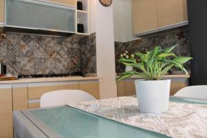 Dimidium Apartment