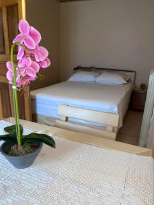 Guesthouse "Gjin Thana"