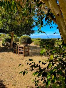 Alencio Panorama Residence