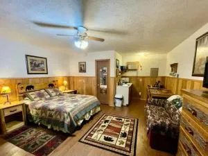 Alpine Mountain Studio Fireplace Helen #4 - Helen