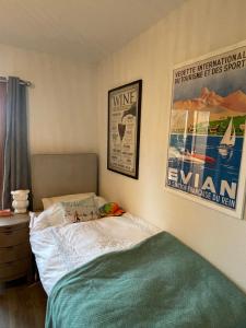 Appartements Stunning apartment with views over Lake Geneva : photos des chambres