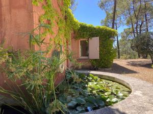 Villas Villa Les Gourdeaux : photos des chambres