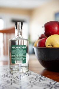 70s Vibe Beach Downtown AC Nightlife