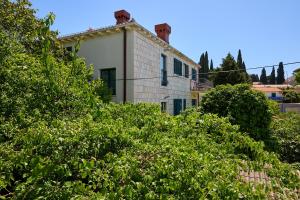 GOLDEN ROSE - walking distance 1 km from old town