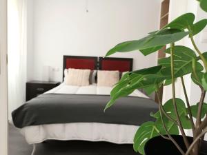 Apartamento vacacional Cuarteles