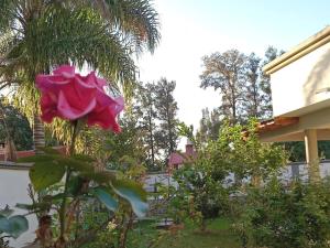 Alojamiento La Glorieta -Casas de descanso