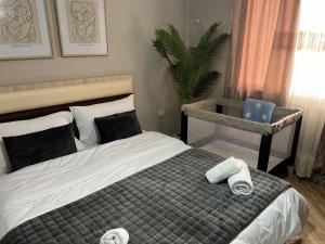 New modern Tirana apartment