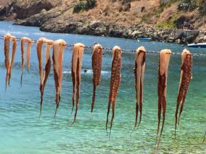 Pyrgoi Theodorakaki: O Gerolimenas Lakonia Greece