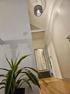 Deux maisons reunis par le jardin et sa cabine de plage, à 8min à pieds des plages et de locéan