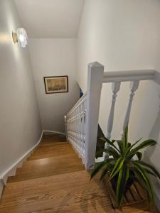 Deux maisons reunis par le jardin et sa cabine de plage, à 8min à pieds des plages et de locéan