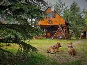 Osada nad Wdą w Borsku - Karsin