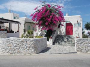 Astoria Apartments Paros Greece