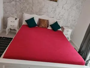 Apartament Gabriela - Szakállasfalva