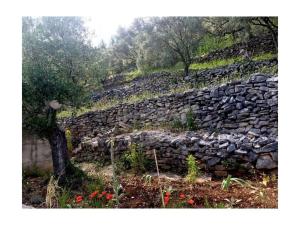 in Haus Tomica Comfortable holiday residence