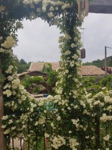 Villas Magnifique villa de charme avec piscine : photos des chambres