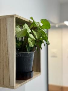 Le Duplex - Massy Centre