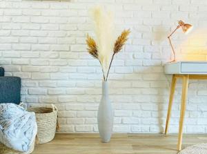 Le Cocon Duplex de standing en centre-ville