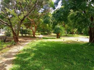 Serviced apartment (3 bedrooms)