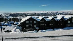 Relaxing Retreat with Two Terraces - Slidre