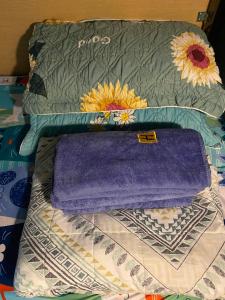 Start House CAPSULE 5 min walk to the Airport