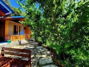 Navira Hills Laida - Banjar - Shangarh