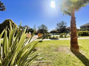 Appartements Residence marine de bravone Acces plage, Piscine : Appartement 1 Chambre