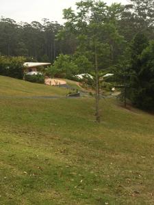 Coffs Coast Mountain Retreat Cabin 2