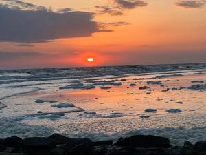 WangerRose - Familienwohnung für Groß und Klein und Hundefreunde