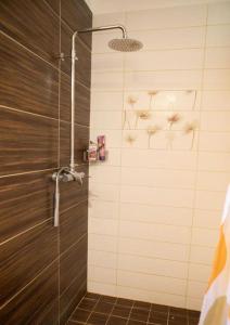 Down Town Tirana Apartment Center