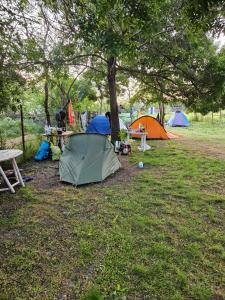 Camping Casuta Mihaela