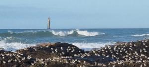 Appartement 6-8 personnes- 3 chambres- proche de tout à pied