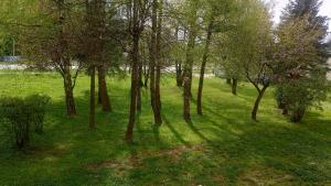 Apartament Bel Posto