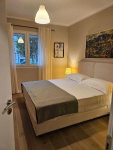 Brians Apartment in Tirana 2