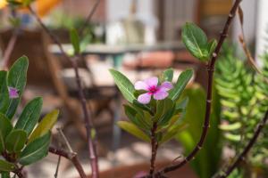 Residenza Fanelli img11