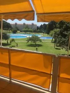 Hortensias de jardín - Isla de la Toja