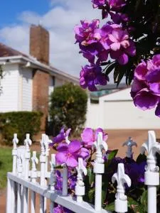 3 bedroom house with Wi-Fi, Netflix, AC, Timber Floor, Well-fenced - Rydalmere