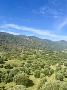 Superbe maison avec jacuzzi - Montegrosso