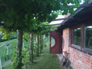 Holiday house Green hill in Zagorje 