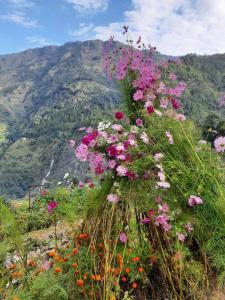 Himalayan Homestay Huddu Valley