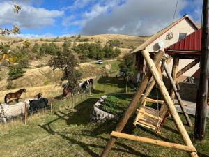 Guest House Highland