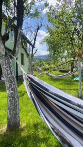 Dudkowe Domki w Beskidach- Relaks z Balią i Apiterapią