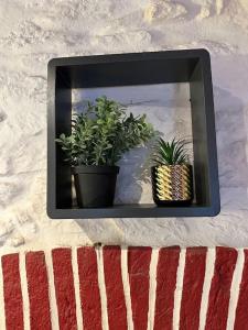 Maisons de vacances Maison de charme - Coeur de Brest : photos des chambres