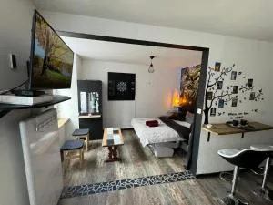 Studio Monistrol sur Loire - Lapte