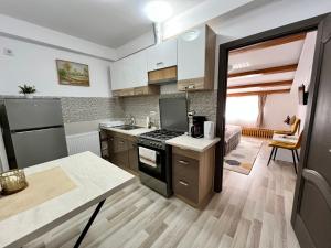 Parc Vatra Dornei 3 - Family & couples