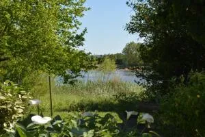 Gîte Le Petit Rouyot 3* - Vignonet