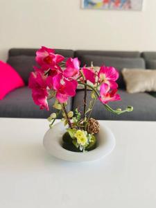 DOMINO - Superbe studio de standing