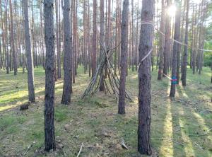 Tinyhaus idyllisch am Waldesrand